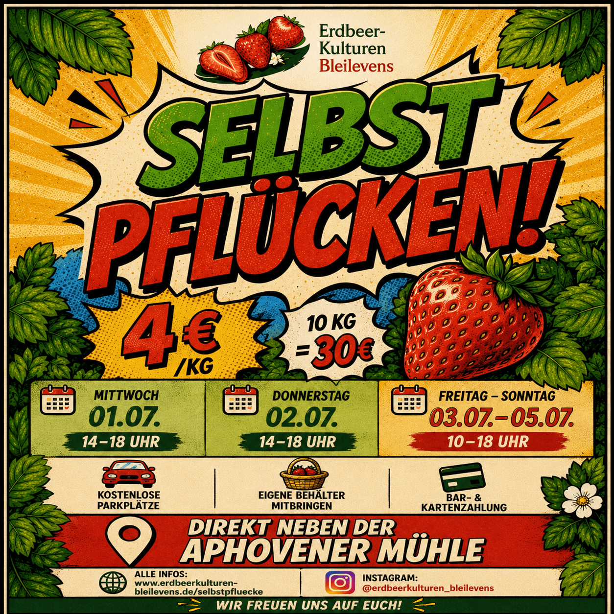 Erdbeeren Selbstpflücke